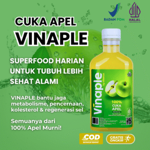 Vinaple - Cuka Apel Membantu Pencernaan Usus